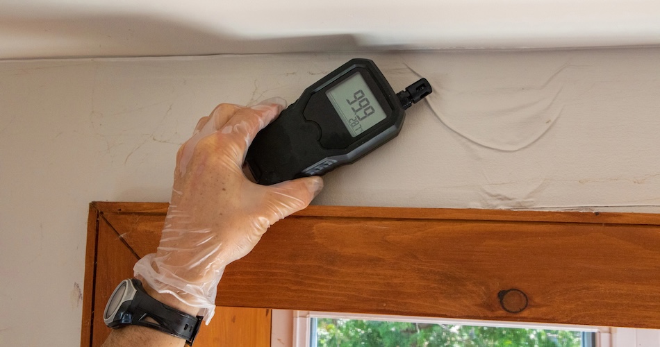 Moisture Meter Tools