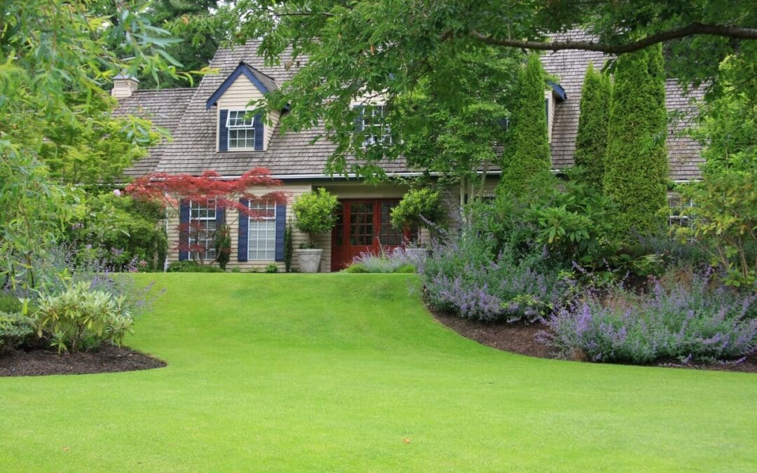 Improve Curb Appeal