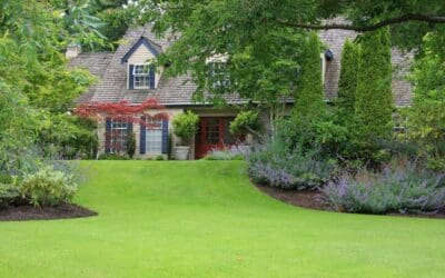 First Impressions Matter: Simple Ways to Improve Your Home’s Curb Appeal